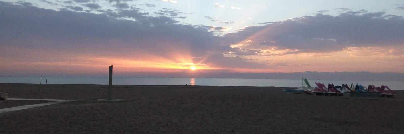 Las playas de Barcelona son estupendas. Varias de ellas cuentan con banderas azules. Muestra de calidad